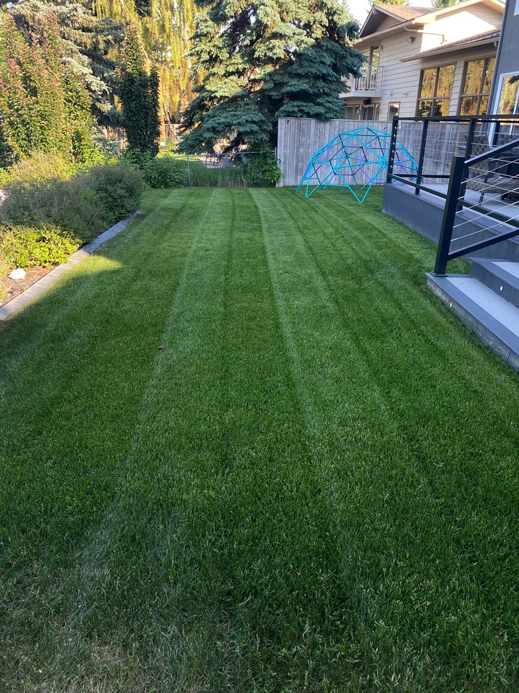 First mow Calgary lawn